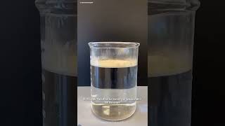 Science t science experiment scienceexperiment sciencefacts chemistry scinceexperiment facts [upl. by Steinberg]