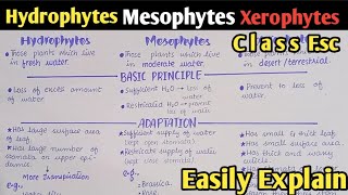 Osmoregulation In Plants Hydrophytes Mesophytes And Xerophytes  Class 12 Biology [upl. by Sivartal634]