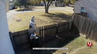 Postal Worker Allegedly Pepper Sprays Dogs Caught On Video [upl. by Noda]