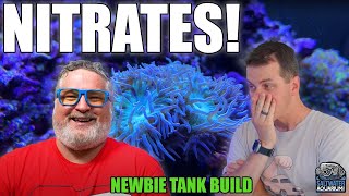 Managing NITRATE Levels In You Saltwater Aquarium  Newbie Tank Build [upl. by Atalie]