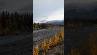 Kluane National Park in Yukon Canada Canada yukon Kluane travel nature [upl. by Nerej]