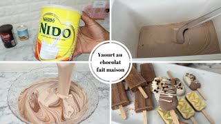 YAOURT AU CHOCOLAT 🍫  UNE RECETTE A TESTER Shalou Cuisine [upl. by Lladnyk778]