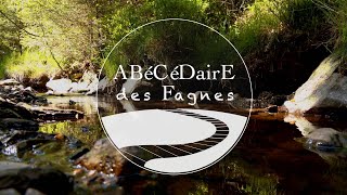 ABéCéDairE des Fagnes  S comme Sources [upl. by Oak]