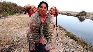 Impresionante como Pesca esta Mujer con Atarraya estos Gigantes Pescados [upl. by Anawyt]