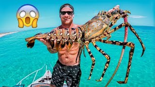 Can I Cook Giant Lobster Using The Sun  YBS Youngbloods [upl. by Quiteria]