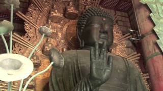 Todaiji Home of the Great Buddha [upl. by Theall220]