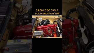 O ronco do OPALA 6 CILINDROS [upl. by Abe144]