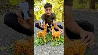 Rc Remote Control Two Giraffe 🦒 vs Deer ki testing 😜 [upl. by Velvet958]