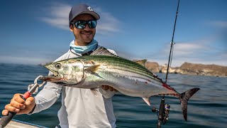 Atún Chileno  Pesca de BONITO XL  Pelagic Fish [upl. by Summers23]