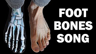 FOOT BONES SONG [upl. by Phaih973]