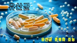 매일 챙겨 먹는 유산균 알고 먹자 [upl. by Kciregor]