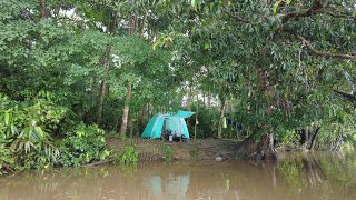 BERMALAM DI PINGGIR SUNGAI BESAR SAAT AIR NAIK DAN PANEN IKAN BAUNG DI RAWA KERUH [upl. by Ainad640]