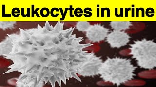 Leukocytes in urine  How to get rid of leukocytes in urine without antibiotics Leukocytes remedies [upl. by Nysila]