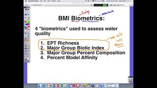 What is Major Group Biotic Index [upl. by Greenman410]