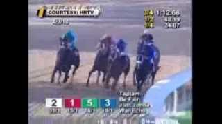 Zenyatta Greatest Race Horse Of All Time Montage  All 19 Wins [upl. by Cinamod301]