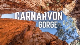 Discover Carnarvon Queenslands Oasis of National Park Wonders [upl. by Bevvy]