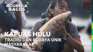 Tradisi dan Budaya Unik Masyarakat Kapuas Hulu  Indonesia Bagus [upl. by Eirrek308]