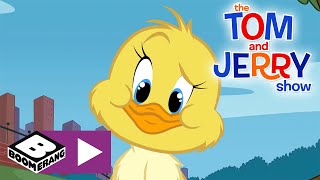 Tom amp Jerry  Tuffy the Cutest  Tom amp Jerry in Full Screen Movie Episodes Cartoon Compilation Kids [upl. by Olleina]