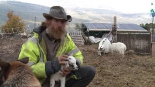 La Ferme dautrefois  atteindre lindépendance alimentaire par la permaculture Rédacteur [upl. by Jelene]