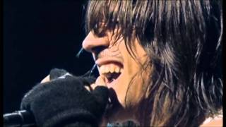 Red Hot Chili Peppers  Dani California  Live at La Cigale 2006 HD [upl. by Eirised]