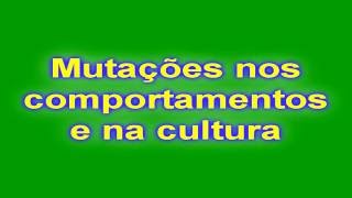 História A Resumos Mutações nos comportamentos e na cultura  Módulo 7 parte 4 [upl. by Nema173]