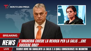 CHIESTA LA REVOCA DELLIMMUNITA PER LA SALISORA ILARIA RISCHIA GROSSOMA SE LA E UN PO CERCATA [upl. by Baruch]