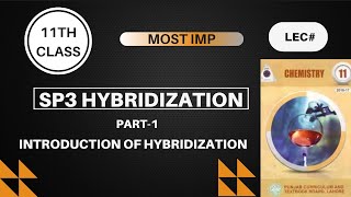 Sp3 Hybridization Introduction of Hybridization [upl. by Ajidahk674]