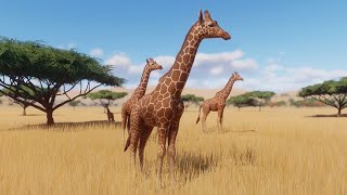 PLANET ZOO Reticulated Giraffe Habitat Build [upl. by Nickolai]