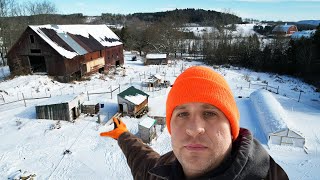 FARM TOUR Cattle Geese Ducks Vermont Winter [upl. by Nuoras]