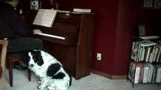 Cooper the Singing Dog  The Christmas Song [upl. by Derfniw]