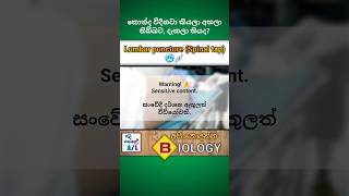 Lumbar puncture Spinal tap💉  Medical biology  අපි නොදන්න Biology  7🫀biology medical shorts [upl. by Kikelia]