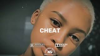 Omah Lay x Burna Boy x Bnxn x Afroswing  Afro Type beat 2024quot CHEAT [upl. by Telimay]