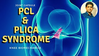 POSTERIOR CRUCIATE LIGAMENT amp Plica syndrome Knee Biomechanics [upl. by Weinrich921]