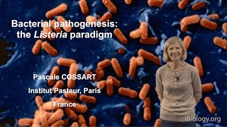 Pascale Cossart Institut Pasteur Part 1 Bacterial pathogenesis the Listeria paradigm [upl. by Eyaj]