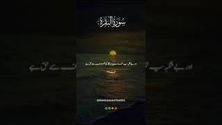 Surah Al baqra with Urdu translation💗🌼islamicstatus translationquran beautifullslamic shorts [upl. by Dorena835]