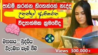 පාඩම් කරන්න උනන්දුවක් නැද්ද How to get interested in studying amp Brain Foods for Memory Study Tips [upl. by Thad]