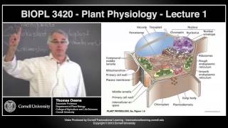 BIOPL3420  Plant Physiology  Lecture 1 [upl. by Karry]