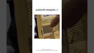 Justice for mosquito 🦟explore meme [upl. by Dyal8]