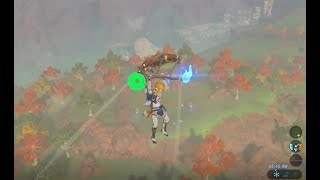 How to run with a lit torch in Breath of the Wild Item Smuggling [upl. by Colver]