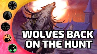 🔴🟢This is a Game Changer For Werewolves  MTG Arena Ixalan Standard Aggro Deck List [upl. by Lorine]