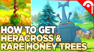 How to Get Heracross amp Other RARE Honey Tree Pokemon  Pokemon Brilliant Diamond [upl. by Annauqal]