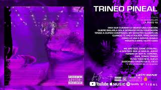 LEÏTI SENE  TRINEO PINEAL Lyric Video [upl. by Savage]