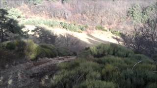 Enduro Ardeche 07 Yamaha 250 Wrf amp Honda 125 cr [upl. by Reel]