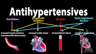 Antihypertensive Medications  Pharmacology Animation [upl. by Daren]