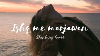 ishq me marjawan title song  slowed and reverb  asthetic music [upl. by Soilissav]