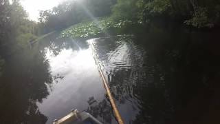 Another Ocklawaha jigger pole fishing trip [upl. by Barnard453]