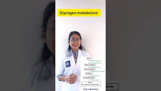 Glycogen metabolism Glycogenesis part 1 harmonal regulation of glycogen metabolism [upl. by Reviel980]