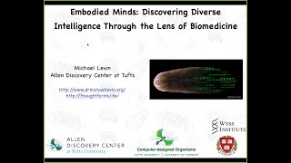 Embodied Minds discovering diverse intelligence through the lens of biomedicine [upl. by Aimahc]