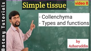 Simple tissue  Collenchyma  Structure types amp functions [upl. by Rebmetpes]