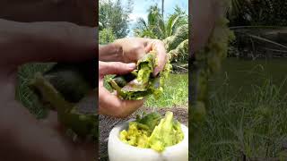 Smashed Avocado coconut smoked fish satisfying asmr nature food [upl. by Amihsat]